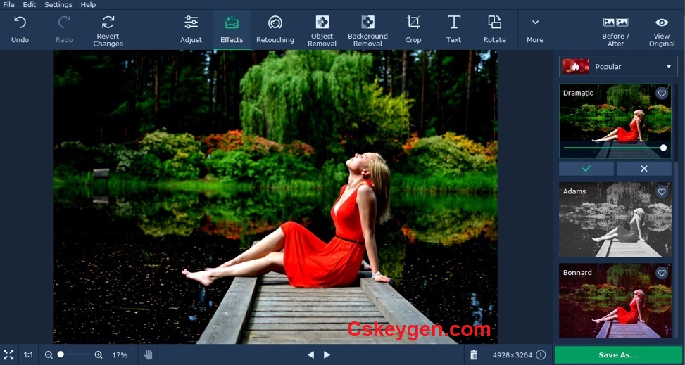 Movavi Photo Editor Key