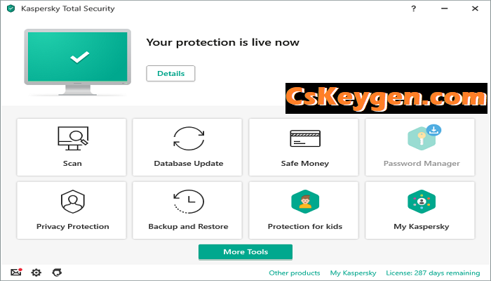 Kaspersky Total Security License Key